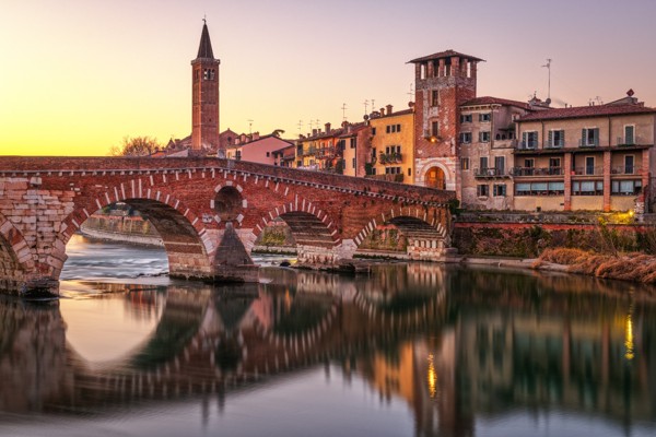Bologna Üniversite Eğitimi